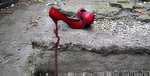 Red shoes adventure
